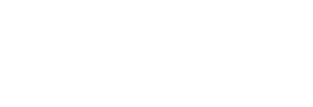 Internet Services Bonn Logo weiß